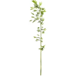 Online DecoWoerner Bambus-Ast 190 Cm grün