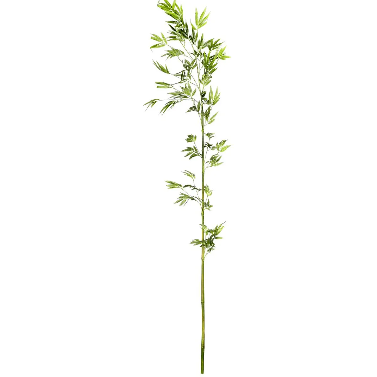 Online DecoWoerner Bambus-Ast 190 Cm grün