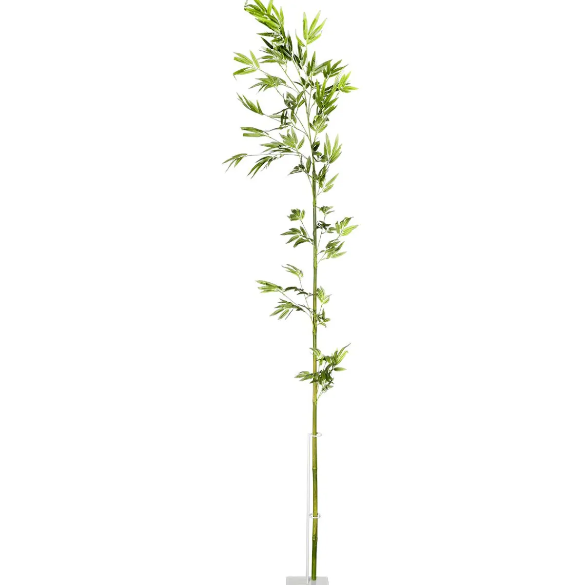 Online DecoWoerner Bambus-Ast 190 Cm grün