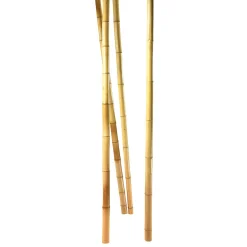 Best DecoWoerner Bambusstangen Natur, 180 Cm 3 Stück Beige