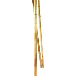Best DecoWoerner Bambusstangen Natur, 180 Cm 3 Stück Beige