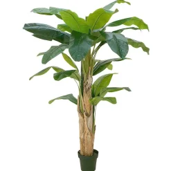 Discount DecoWoerner Bananenpflanze 170 Cm grün