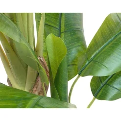 Discount DecoWoerner Bananenpflanze 170 Cm grün