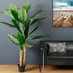 Discount DecoWoerner Bananenpflanze 170 Cm grün