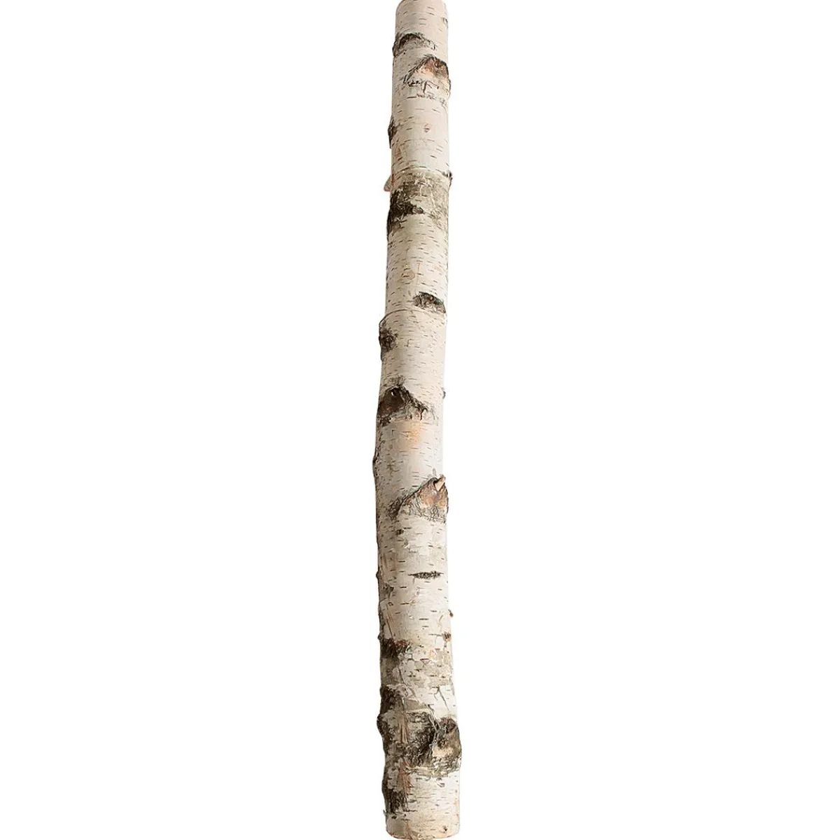 New DecoWoerner Birkenstamm 100 Cm 6-10 Cm Ø Beige