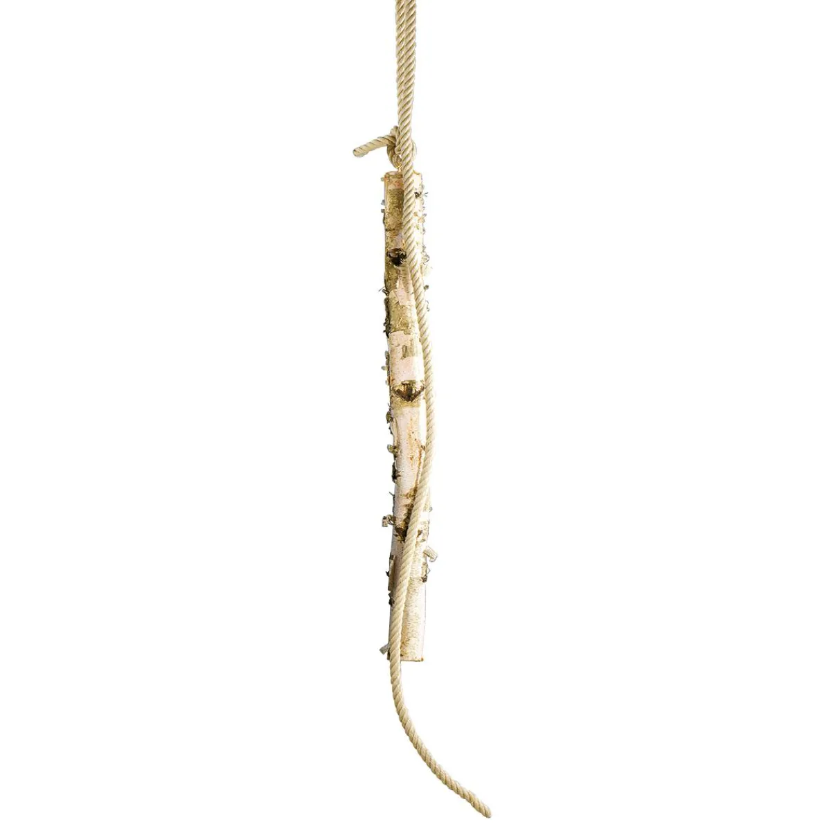 New DecoWoerner Birkenstamm 100 Cm 6-10 Cm Ø Beige