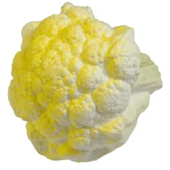Online DecoWoerner Blumenkohl Lebensmittel-Attrappe 13 Cm Ø weiß