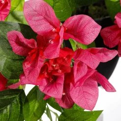 Discount DecoWoerner Bougainvillea Kunstblume Im Topf 60 Cm rosa