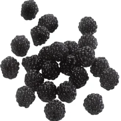 DecoWoerner Brombeeren Lebensmittel-Attrappe, 24 Stück schwarz