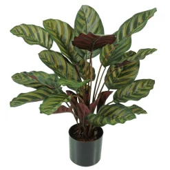 Outlet DecoWoerner Calathea Kunstpflanze Im Topf Schwer Entflammbar B1 grün