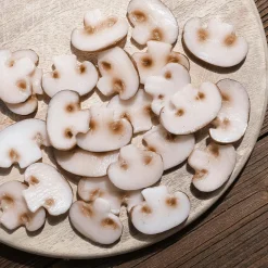 Discount DecoWoerner Champignon-Scheiben Lebensmittel-Attrappe, 12 Stück braun