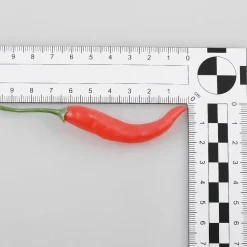 Online DecoWoerner Chili-Schoten Lebensmittel-Attrappe, 36 Stück rot
