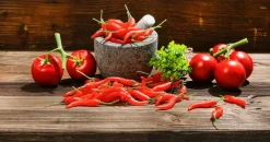 Online DecoWoerner Chili-Schoten Lebensmittel-Attrappe, 36 Stück rot