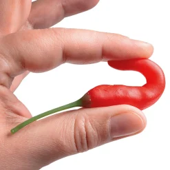 Online DecoWoerner Chili-Schoten Lebensmittel-Attrappe, 36 Stück rot