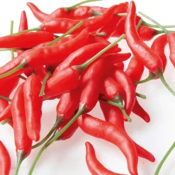 Online DecoWoerner Chili-Schoten Lebensmittel-Attrappe, 36 Stück rot