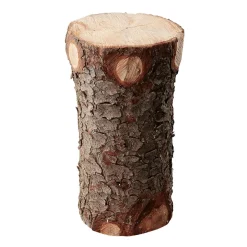 Best DecoWoerner Deko Holzstamm, 50 Cm braun