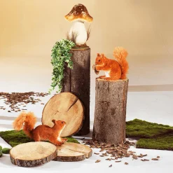 Best DecoWoerner Deko Holzstamm, 50 Cm braun