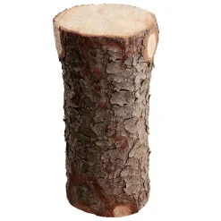 Clearance DecoWoerner Deko Holzstamm, 70 Cm braun
