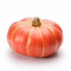 Outlet DecoWoerner Deko Kürbis "flach", 24 Cm orange
