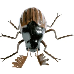 Discount DecoWoerner Deko Maikäfer, 20 Cm schwarz