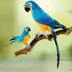 Clearance DecoWoerner Deko Papagei -gelb, 70 Cm Lang blau
