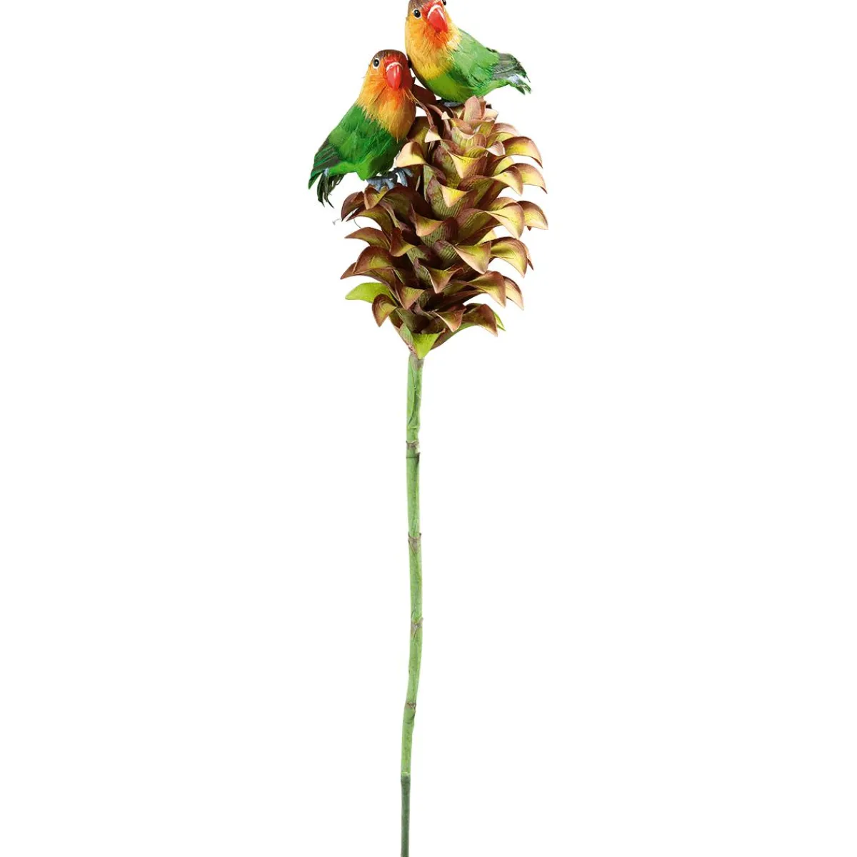 Discount DecoWoerner Deko Rosenköpfchen Papagei Sitzend 20 Cm, 2 Stück mehrfarbig