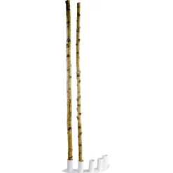 Clearance DecoWoerner Deko-Birkenstämme 170 Cm, 5 Stück Beige