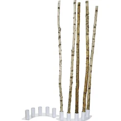 Clearance DecoWoerner Deko-Birkenstämme 170 Cm, 5 Stück Beige