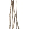 Discount DecoWoerner Deko-Birkenstämme 220 Cm, 6 Stück