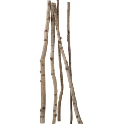 Discount DecoWoerner Deko-Birkenstämme 220 Cm, 6 Stück