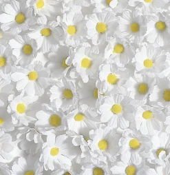 Outlet DecoWoerner Dekoblüten Margeriten, 72 Stück weiß