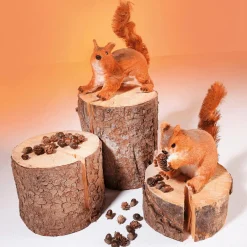 Online DecoWoerner Deko-Eichhörnchen 24 Cm Hoch orange