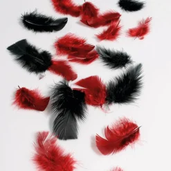 Discount DecoWoerner Dekofedern , 20 G rot