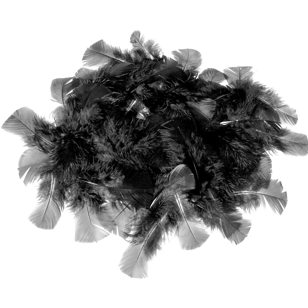 Sale DecoWoerner Dekofedern , 20 G schwarz