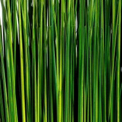 Clearance DecoWoerner Deko-Gras Bündel 76 Cm grün