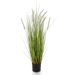 Clearance DecoWoerner Deko-Lampenputzergras Im Schwarzen Topf B1, 90 Cm grün