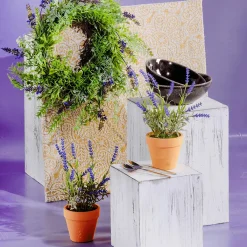 Online DecoWoerner Deko-Lavendel Im Topf, 22 Cm violett