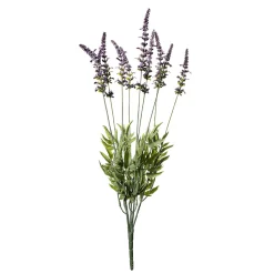 Hot DecoWoerner Deko-Lavendel-Grasbündel 55 Cm violett