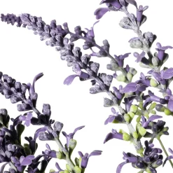 Hot DecoWoerner Deko-Lavendel-Grasbündel 55 Cm violett