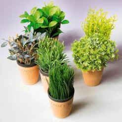 New DecoWoerner Deko-Minze Im Ton-Topf 20 Cm grün
