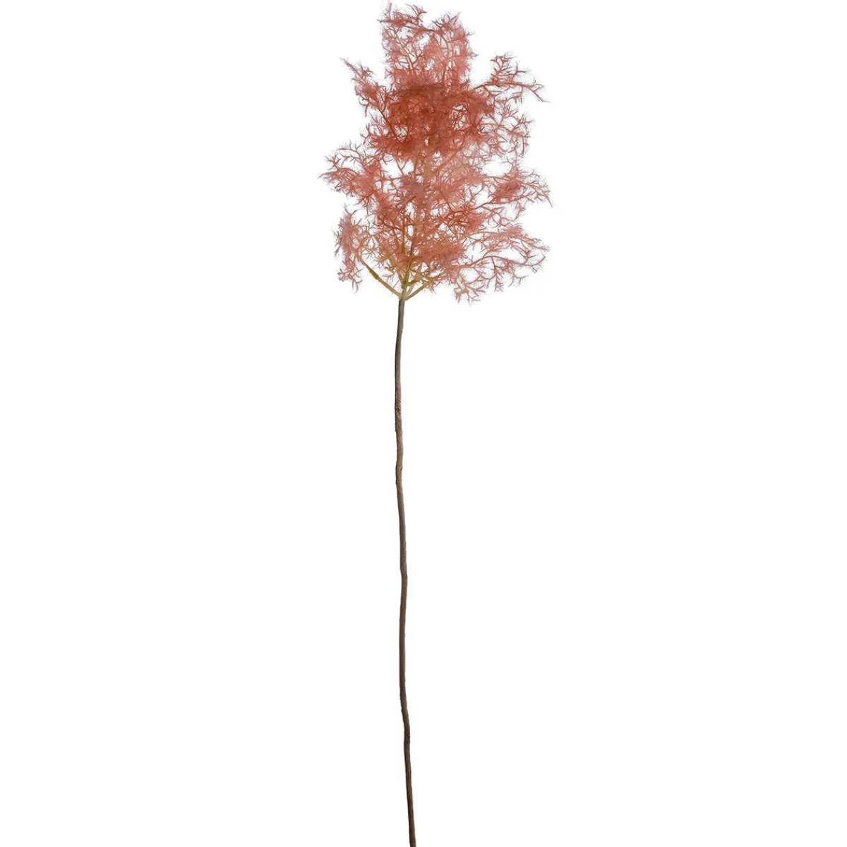 Online DecoWoerner Dekoschilf Pampasgras, 90 Cm rosa
