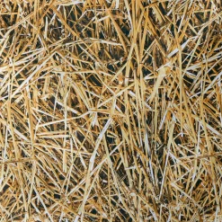 Clearance DecoWoerner Dekostoff “Stroh“ 150 Cm Breit braun