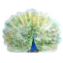 Outlet DecoWoerner Display-Hänger "Pfau" 62 Cm Hoch grün