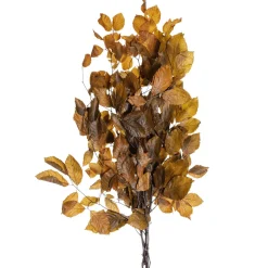 Sale DecoWoerner Echte Buchenzweige, Gelb - Orange 80 Cm braun