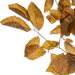 Sale DecoWoerner Echte Buchenzweige, Gelb - Orange 80 Cm braun