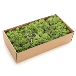 Clearance DecoWoerner Echtes Naturmoos 500 G grün