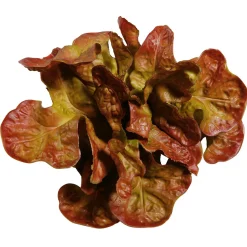 Discount DecoWoerner Eichblattsalat Lebensmittel-Attrappe, 23 Cm Ø rot