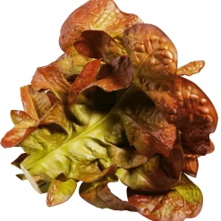 Discount DecoWoerner Eichblattsalat Lebensmittel-Attrappe, 23 Cm Ø rot