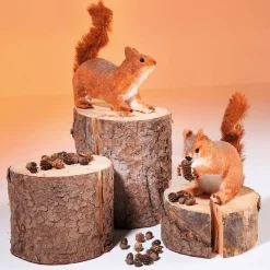 Clearance DecoWoerner Eichhörnchen, Sitzend orange