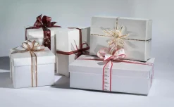 Hot DecoWoerner Geschenkkartons 38 X 26 X 10 Cm, Elfenbein 10 Stück weiß
